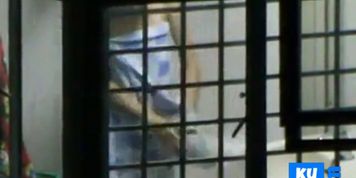Window 011