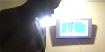 Crazy Backshots