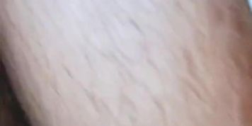Dasi