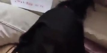 Cum on hijab mm