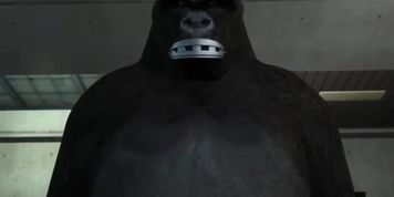 3D HANTI