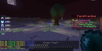 MC Porn