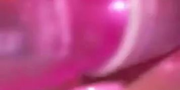 Soyisabelasalar of