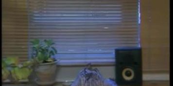 Teeny Exzesse 34 - Orgasmus Ohne Ende4189058__240p.flv