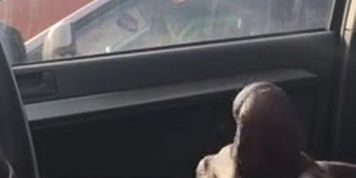 Car flash Granny bbc