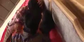 bhabhi ko gar akala ma chooda
