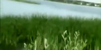 Teen girl spied as she swims in a lake