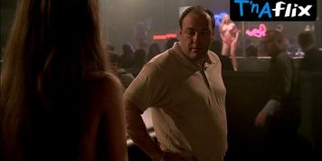 Ariel Kiley Breasts,  Bikini Scene  in The Sopranos