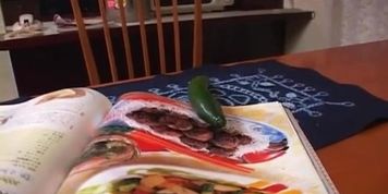 Riko Katase has a small vibrator and a cucumber for tonight
