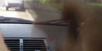 Car Dickflash for Sexy Blonde on Street