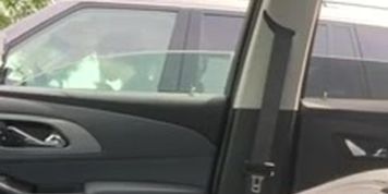 Car Flash Milf