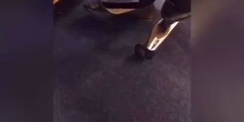 Various Shoeplay Clips on new Page