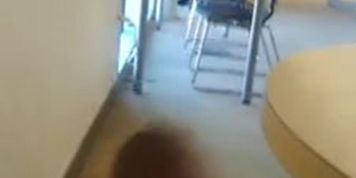 BBC Flash Teen in Library