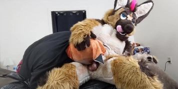 Making A Slutty Fox Work For It