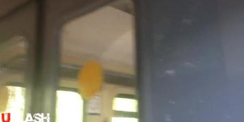Dickflash for Granny on Train