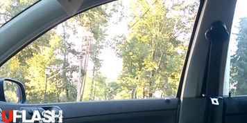 Car Dickflash Compilation