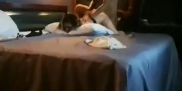 Hotwife mexicana, cogida como una putita