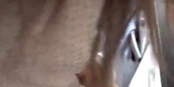 Beautiful punjabi bhabhi fucked very badly by delivery boy
