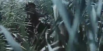 Dora Sitzani Breasts Scene  in Kynigimenoi Erastes