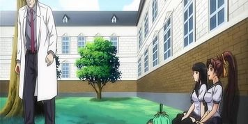Doctor Discipline 1 - Smashing Uncensored Anime