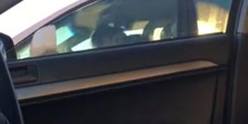 car flash milf 11