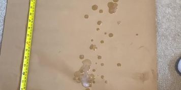 Cum Tribute and Measuring a fan wanted a cum tribute, think.. by cumfountainluke from OnlyFans | Coomer