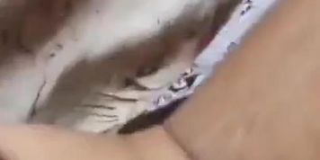 Swxxx