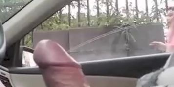 man flashing dick in car