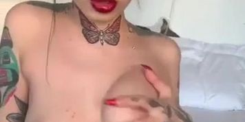 tayy