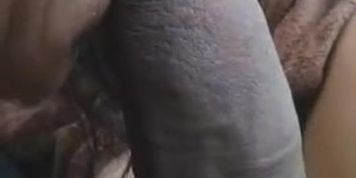 Nut On Chicago Milf
