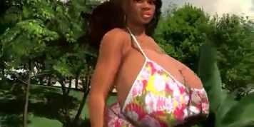 3D BBW