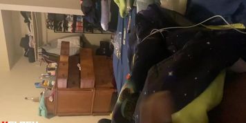 Dick flash