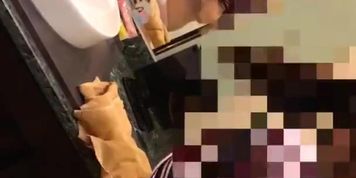 ???????????????????2