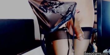 Interesting Stockings Wearing Shemale Escort