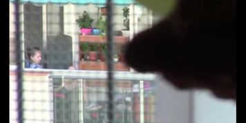 Window Dickflash for Neighbor