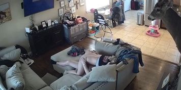 Milf fucked on IPCAM CCTV