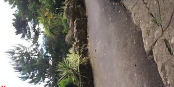 Public big dick flash to Girl