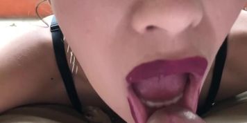 diosaera