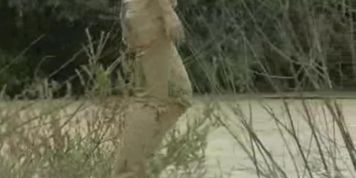 mud girl 097