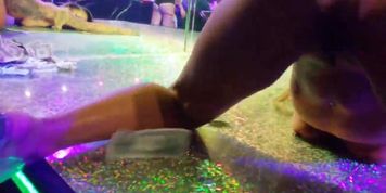 Public Stripclub Show