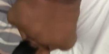 Hotel Thot