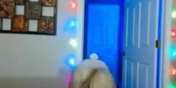 Perfect Blonde Cam Girl