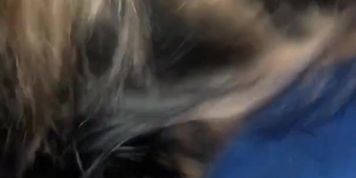Sucking cock while on a boat 