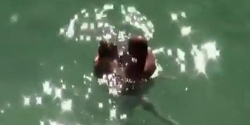 They started it in the water