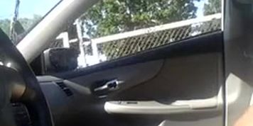 She See'S His Cock And Runs Away
