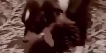 Lazy bitch won&rsquo;t work