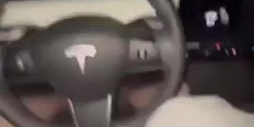 Waifumiia Car Blowjob