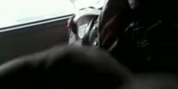 Bus Flash Mature
