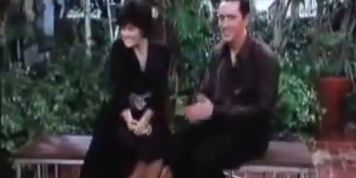 Old TV Show Birds