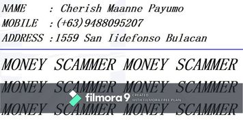 scammer